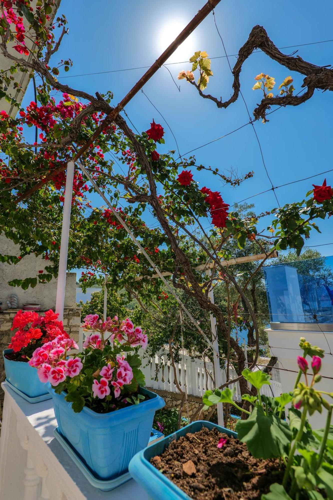 Fabeno Villa ซารานเดอ ภายนอก รูปภาพ